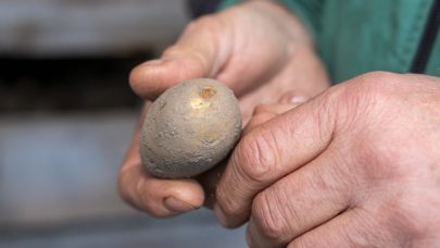 Skjermbilde 2024 03 06 kl 12 09 57