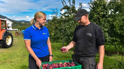 NLR frukt radgivingsavtale