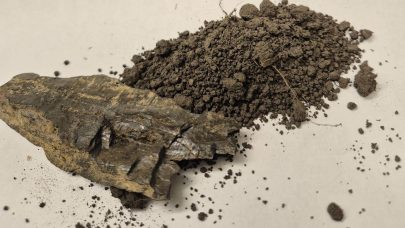 Alunskifer. Foto: Kari Bysveen