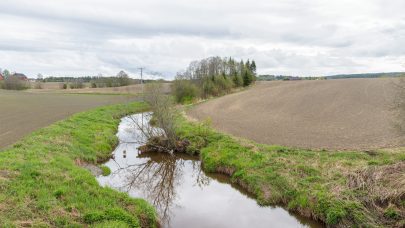 På kanten: Når du gjør tiltak i kantsoner, må du være oppmerksom slik at du arbeider innenfor gjeldende krav. / FOTO: Åsmund Langeland