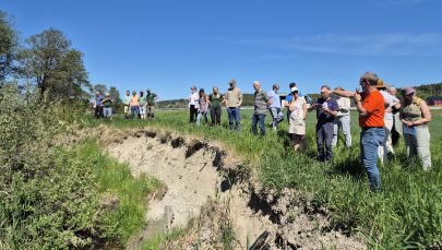 Befaring i bekkekant: Øyvind Akselsen, rådgiver i NLR, under ei befaring på markdagen til SABICAS-prosjektet. Han kommer med forslag til tiltak om steinsetting rundt grøfteutløp i tillegg til å bruke stive, tette rør ut i bekken. / FOTO: Inga Holt