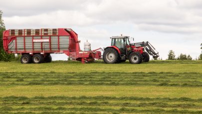 Ensilering Foto: M. Livenengen