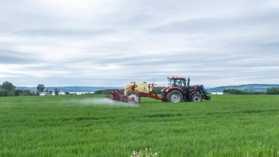 Presisjon_Truls Ove Hansen