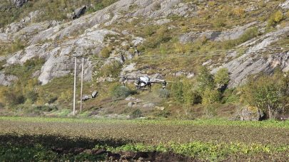 Dronesproytingen var svaert effektiv foto Sunniva Lowo