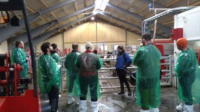 Byggkurs Merete Moe 1