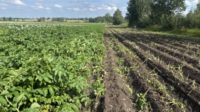 Eggen hos Ole Petter Foto Camilla J Eng